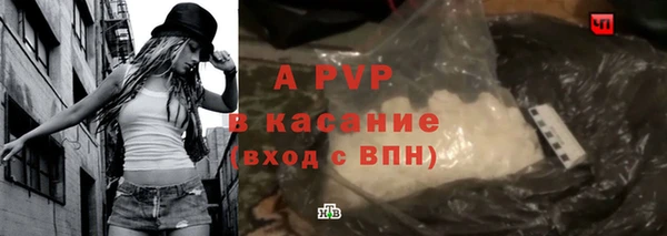 стаф Алексин