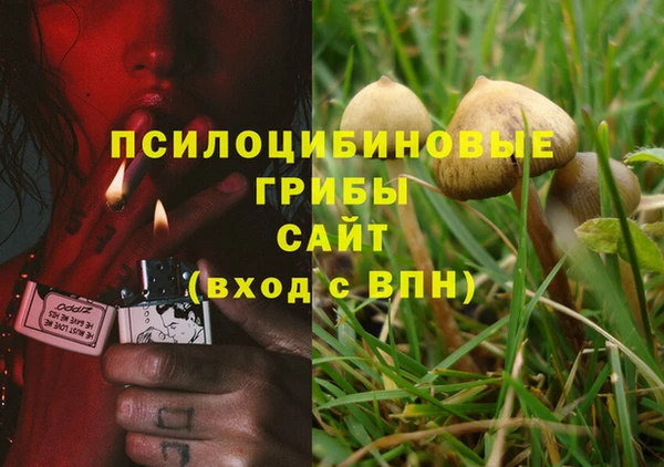 стаф Верея