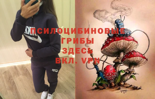 стаф Алексин