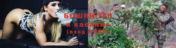 ECSTASY Алексеевка