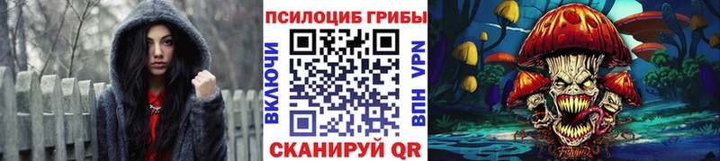 Псилоцибиновые грибы Magic Shrooms  Ессентукская 